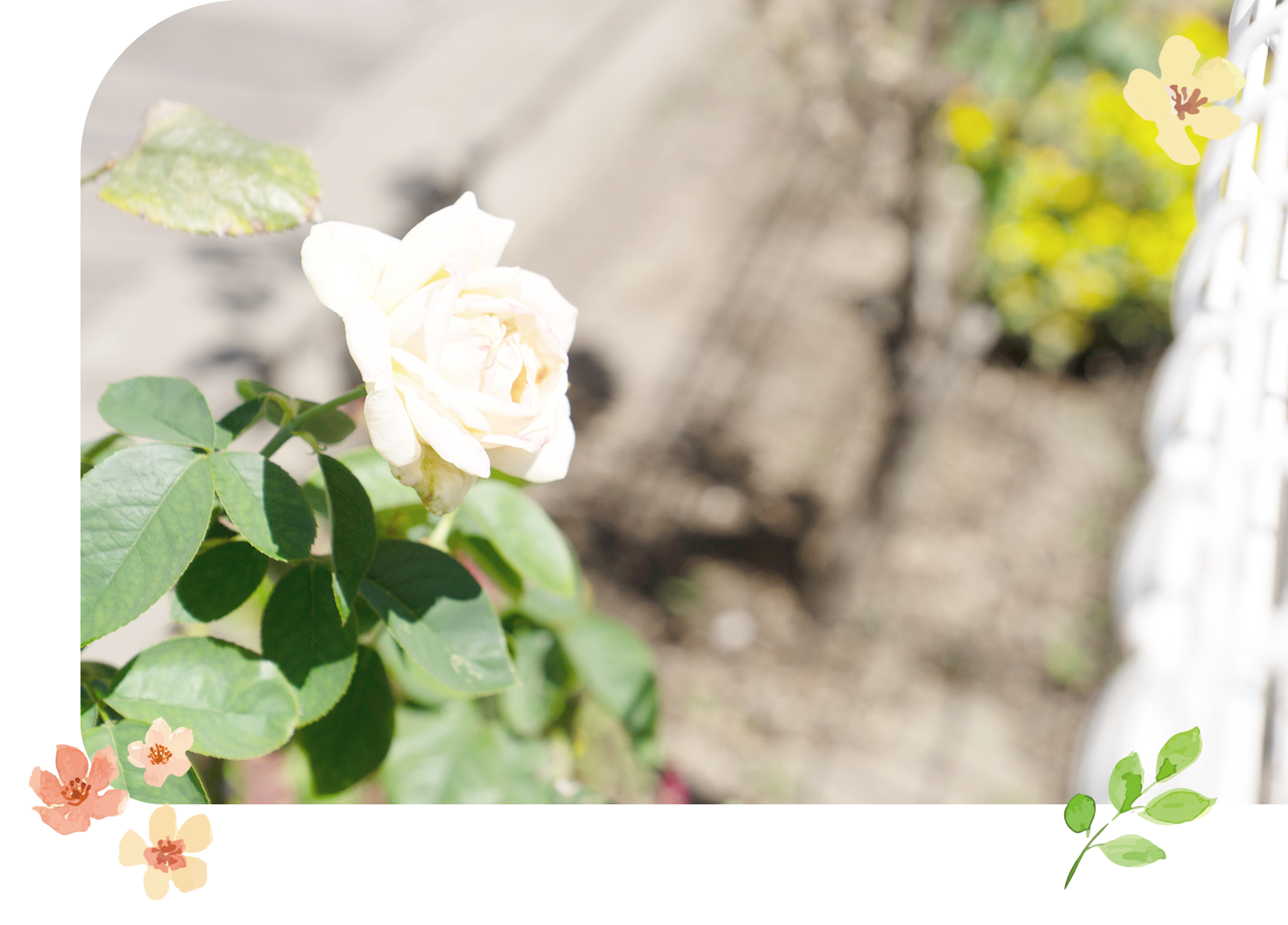 Days filled with warm smiles and gentle care.